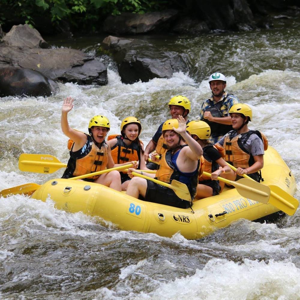 Meet your Posher, Shannon